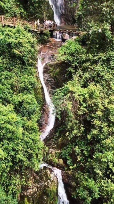 孤岛惊魂原始杀戮